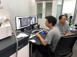 公共技術(shù)服務(wù)中心開(kāi)展蔡司掃描電鏡培訓(xùn)，提升技術(shù)服務(wù)水平